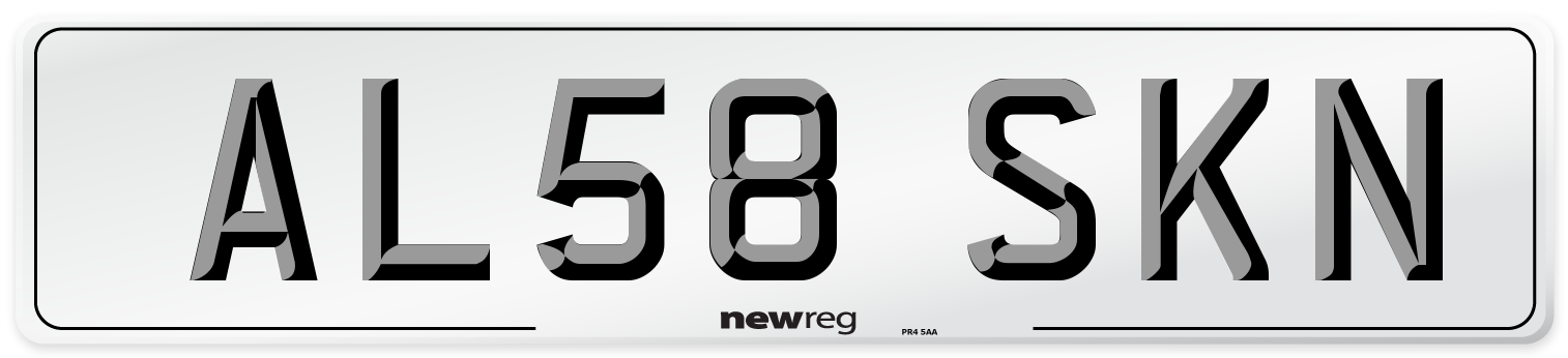 AL58 SKN Number Plate from New Reg